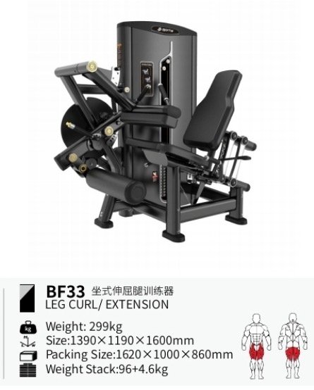 SEATED LEG CURL LEG EXTENSION BRTW BF33